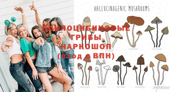 дурь Володарск