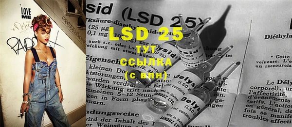 индика Бугульма