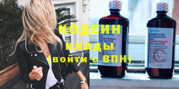 ешки Вяземский