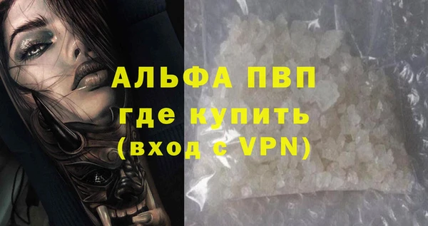 ешки Вяземский