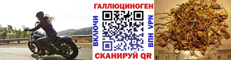 Галлюциногенные грибы мухоморы  Духовщина 
